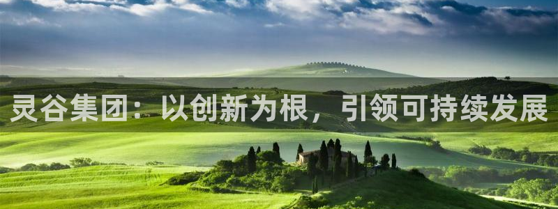 球盟会qmh电子网页版登录：灵谷集团：以创新为根，引领可持续
