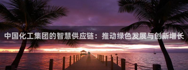 球盟会有限公司怎么样：中国化工集团的智慧供应链：推动绿色发展