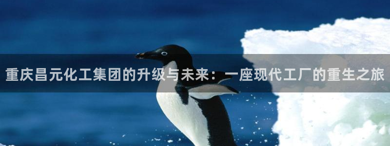 球盟会官方：重庆昌元化工集团的升级与未来：一座现代工厂的重生