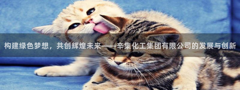 球盟会黑款吗知乎：构建绿色梦想，共创辉煌未来——辛集化工集团