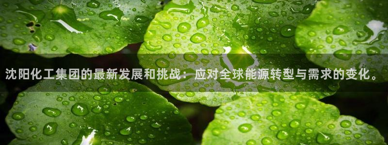球盟会APP最新地址：沈阳化工集团的最新发展和挑战：应对全球