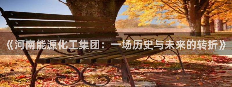 球盟会类似的网站：《河南能源化工集团：一场历史与未来的转折》