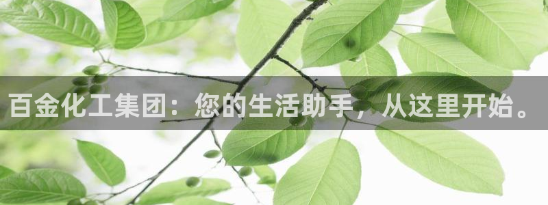 球盟会下载最新版：百金化工集团：您的生活助手，从这里开始。
