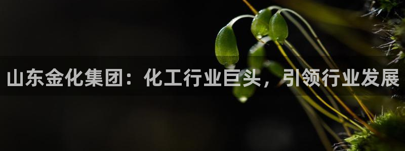 球盟会平台怎么样