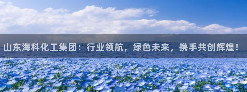 球盟会登录平台入口：山东海科化工集团：行业领航，绿色未来，携