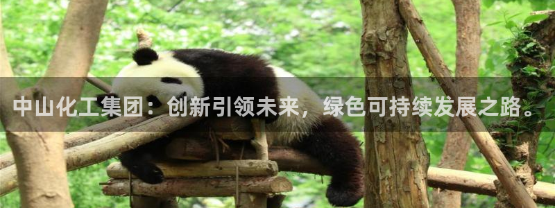 球盟会体育平台：中山化工集团：创新引领未来，绿色可持续发展之