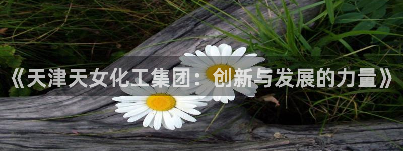 球盟会官方最新入口：《天津天女化工集团：创新与发展的力量》