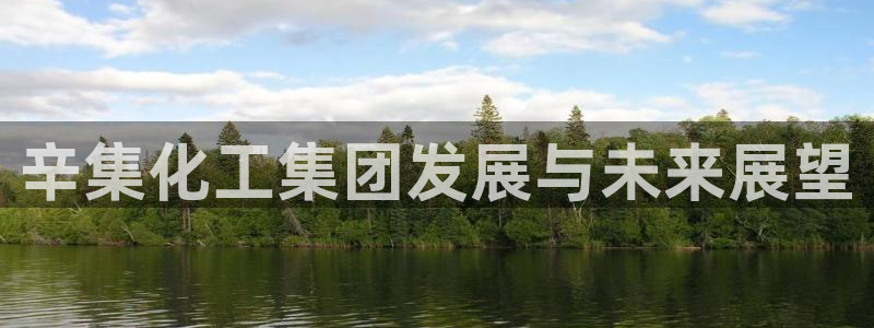 球盟会可以提现么现在：辛集化工集团发展与未来展望