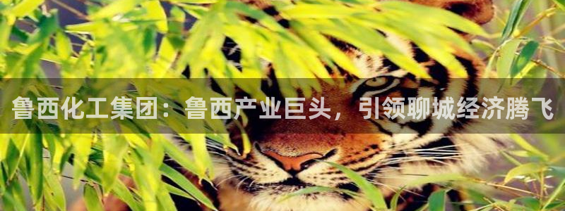球盟会连接