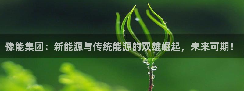 球盟会官方入口：豫能集团：新能源与传统能源的双雄崛起，未来可