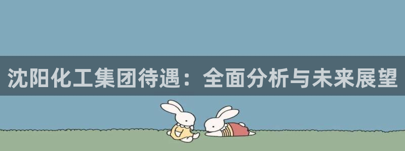 球盟会登录入口：沈阳化工集团待遇：全面分析与未来展望