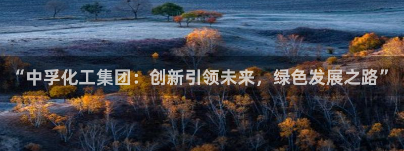球盟会app网址多少号：“中孚化工集团：创新引领未来，绿色发