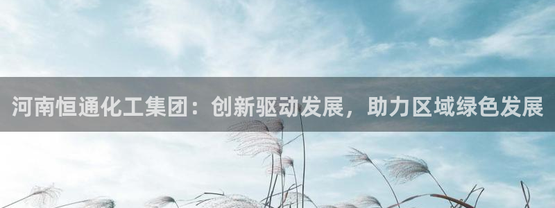 球盟会中国网页登录：河南恒通化工集团：创新驱动发展，助力区域