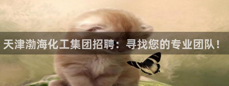球盟会有没有黑单的活动