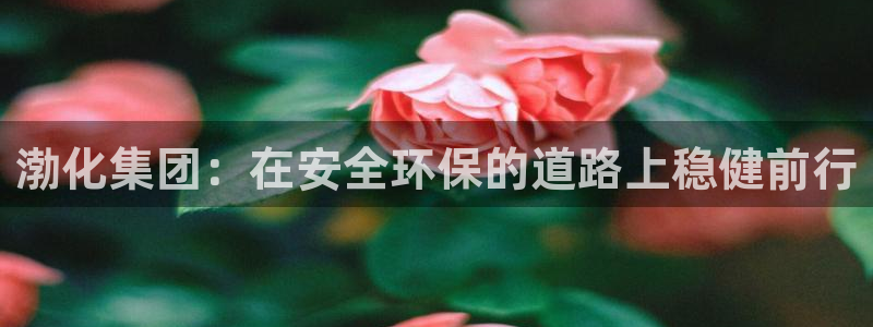 球盟会登录网址：渤化集团：在安全环保的道路上稳健前行