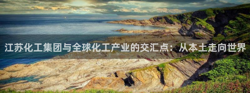 球盟会中国网页登录：江苏化工集团与全球化