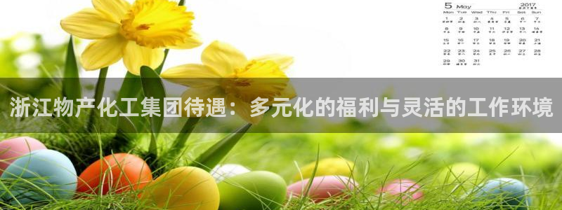 球盟会下款快吗：浙江物产化工集团待遇：多