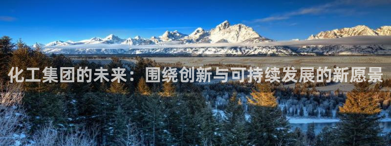 球盟会贴吧：化工集团的未来：围绕创新与可