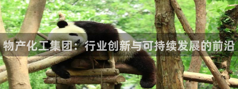 球盟会网页版登陆：物产化工集团：行业创新与可持续发展的前沿