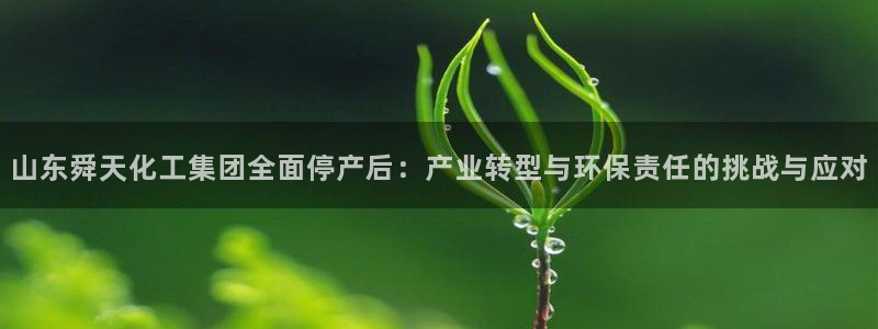 球盟会可以提现么是真的吗：山东舜天化工集团全面停产后：产业转