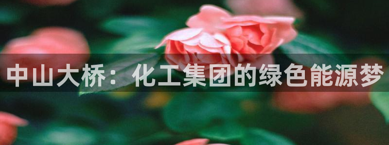 球盟会手机网页版：中山大桥：化工集团的绿色能源梦