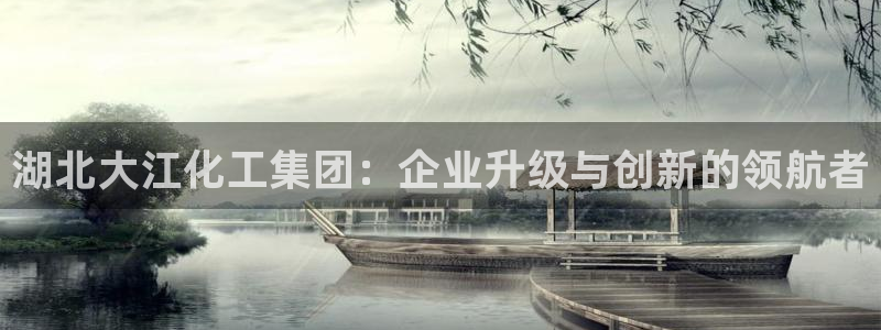 球盟会国际官网：湖北大江化工集团：企业升级与创新的领航者