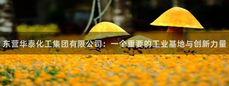 球盟会能退钱吗是真的吗：东营华泰化工集团有限公司：一个重要的