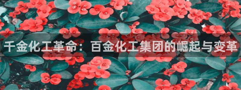 球盟会官网app下载：千金化工革命：百金化工集团的崛起与变革