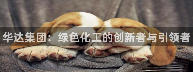 球盟会qm9：华达集团：绿色化工的创新者与引领者