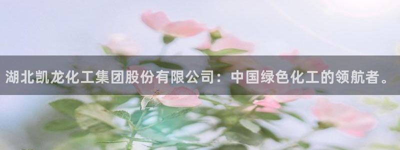 球盟会中国网页登录：湖北凯龙化工集团股份有限公司：中国绿色化