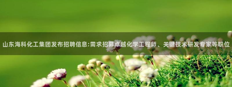 球盟会黑台：山东海科化工集团发布招聘信息:需求招募卓越化学工