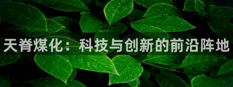 球盟会乐虎