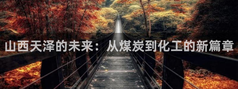球盟会用的客服聊天是哪个软件：山西天泽的未来：从煤炭到化工的