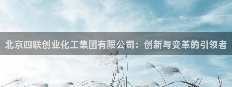 球盟会入口：北京四联创业化工集团有限公司：创新与变革的引领者