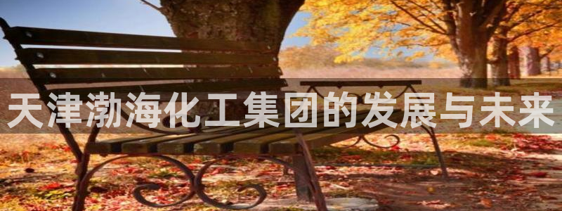 球盟会黑平台：天津渤海化工集团的发展与未来