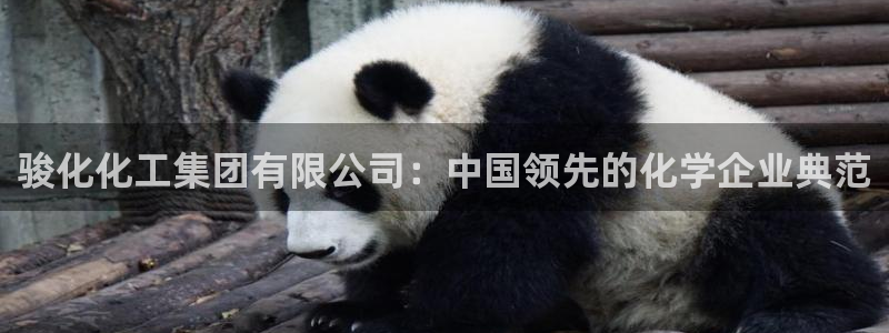 球盟会和中欧会的区别：骏化化工集团有限公司：中国领先的化学企
