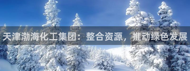 球盟会体育平台：天津渤海化工集团：整合资源，推动绿色发展