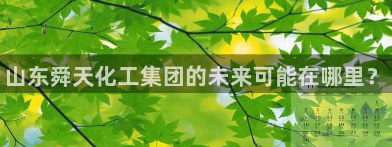 球盟会可以提现么：山东舜天化工集团的未来可能在哪里？