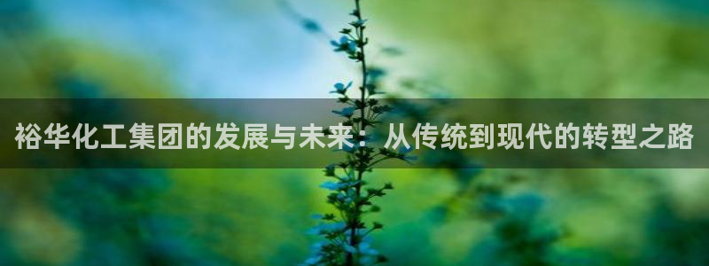 千亿球盟会：裕华化工集团的发展与未来：从传统到现代的转型之路