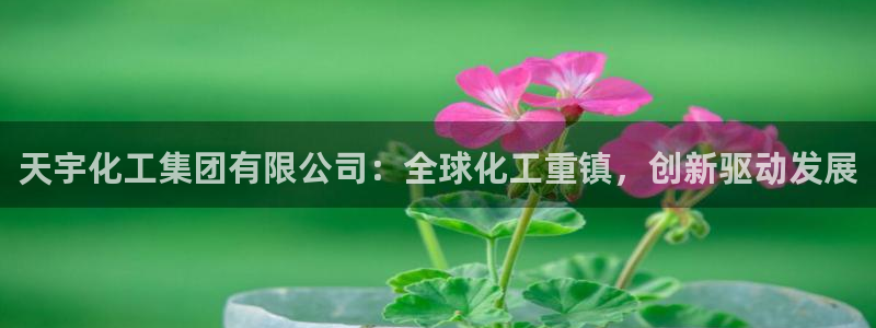球盟会官网：天宇化工集团有限公司：全球化工重镇，创新驱动发展