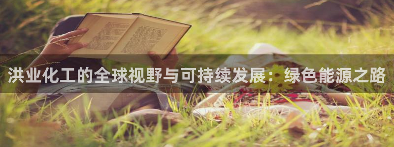 球盟会乐虎：洪业化工的全球视野与可持续发展：绿色能源之路