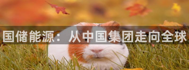球盟会手机网页版：国储能源：从中国集团走向全球