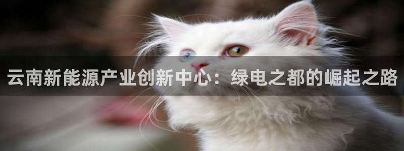 球盟会综合体育平台怎么样：云南新能源产业创新中心：绿电之都的