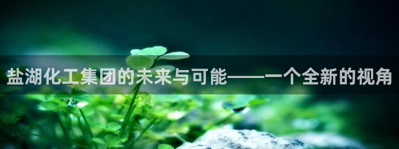 球盟会官方客服：盐湖化工集团的未来与可能——一个全新的视角