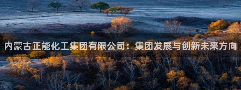 球盟会黑款吗：内蒙古正能化工集团有限公司：集团发展与创新未来