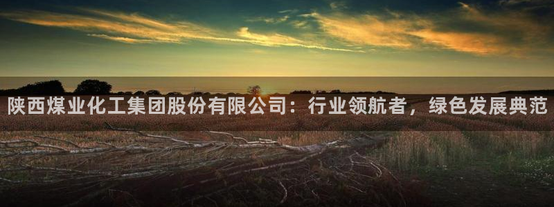 球盟会官方版下载地址：陕西煤业化工集团股份有限公司：行业领航