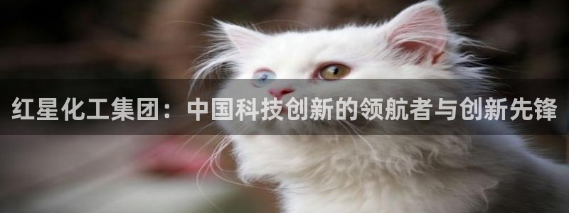 球盟会最新活动：红星化工集团：中国科技创新的领航者与创新先锋