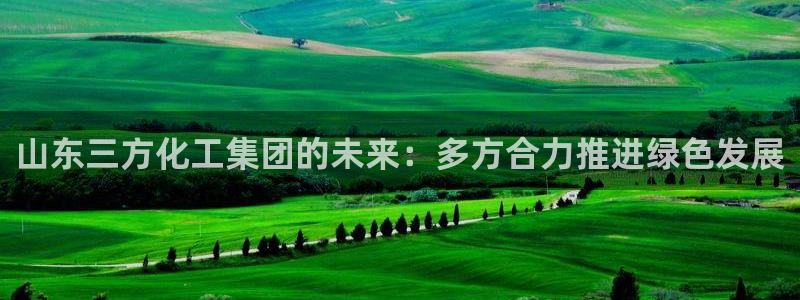 球盟会平台会黑单吗：山东三方化工集团的未来：多方合力推进绿色