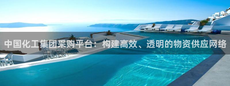 球盟会官方：中国化工集团采购平台：构建高效、透明的物资供应网
