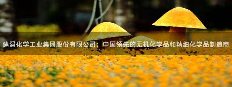 球盟会黑款吗是真的吗：建滔化学工业集团股份有限公司：中国领先
